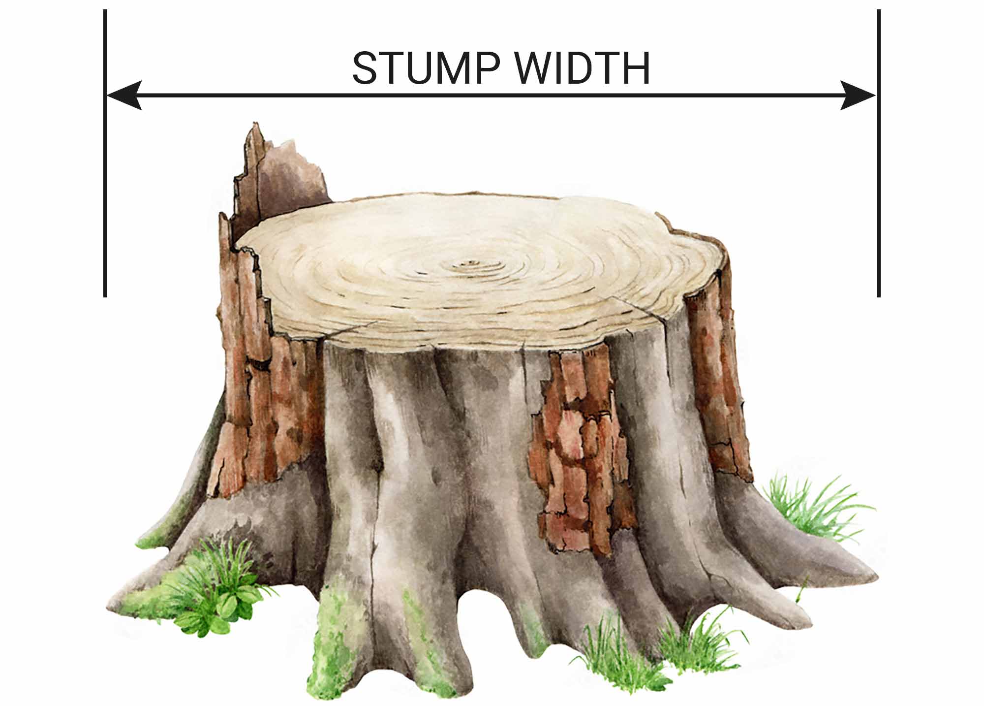 how to measure tree stump width